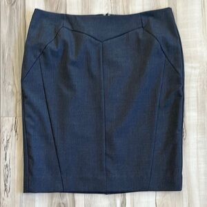 Elegant Gray Straight Lined Skirt